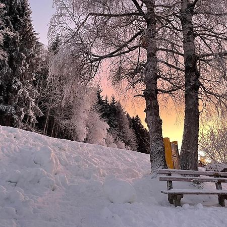 Luserblick Хаус-им-Энншталь Экстерьер фото